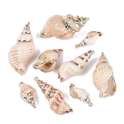Electroplate Natural Sea Shell Big Pendants SSHEL-Q100-24KCG-1
