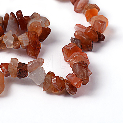 Natural Carnelian Chips Beads Strands F017-1