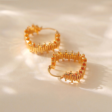 Brass Hoop Earrings for Women WGB6F4D-01-1