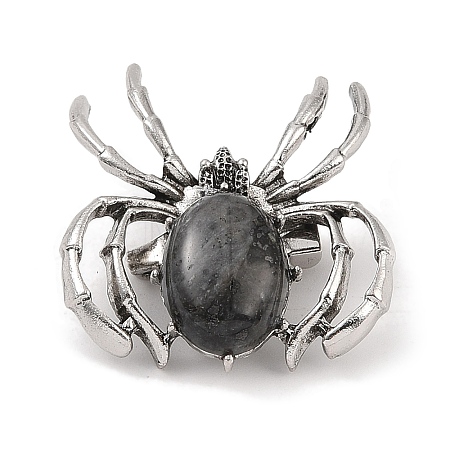 Natural Larvikite Brooches G-A224-01AS-11-1