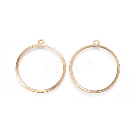 201 Stainless Steel Pendants X-STAS-F192-023G-1