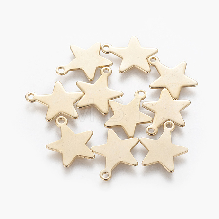 201 Stainless Steel Charms STAS-L233-031B-G-1
