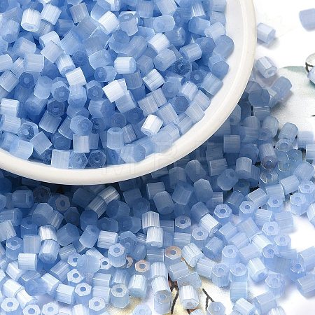 Glass Seed Beads SEED-H002-D-A813-1