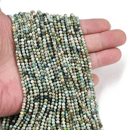 Natural HuBei Turquoise Beads Strands G-L628-B02-3mm-01-1