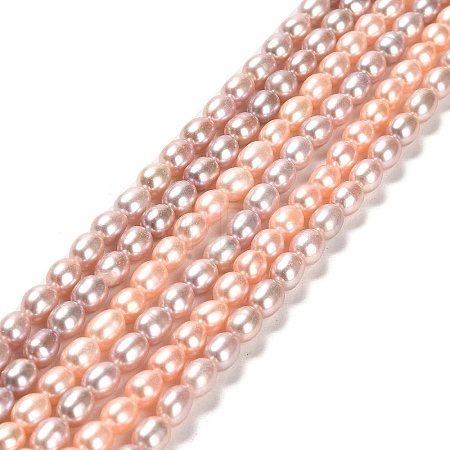 Natural Cultured Freshwater Pearl Beads Strands PEAR-E016-165-1