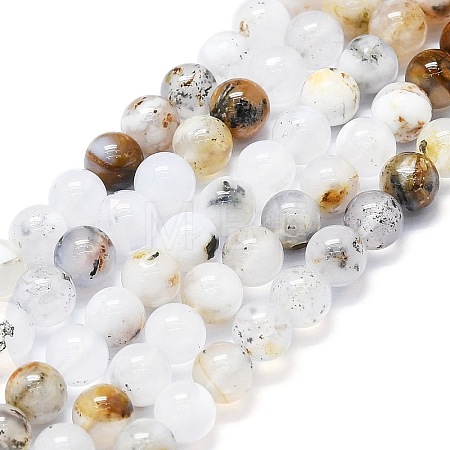 Natural White African Opal Beads Strands G-K245-A18-02-1