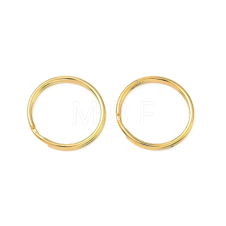 Iron Split Rings FIND-C084-03B-G-1