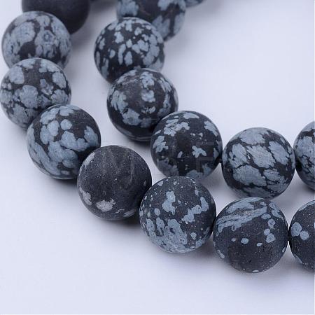 Natural Snowflake Obsidian Beads Strands G-Q462-10mm-10-1