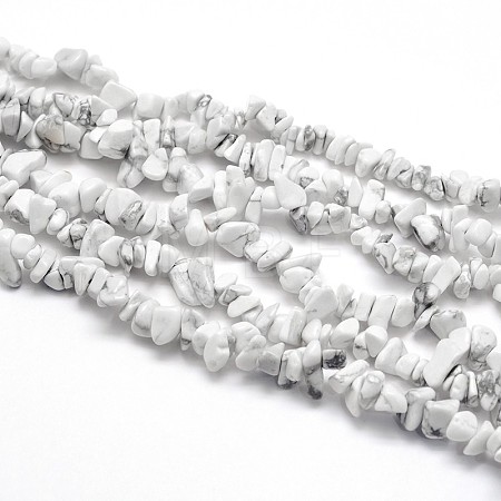 Natural Howlite Beads Strands X-G-O049-B-40-1