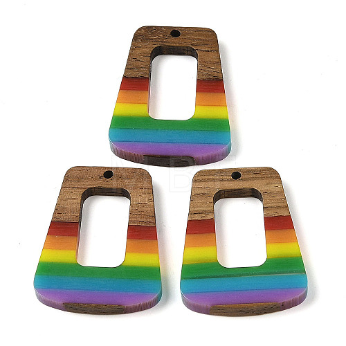 Pride Rainbow Theme Resin & Walnut Wood Pendants WOOD-K012-11B-1