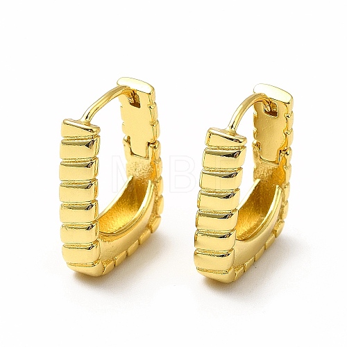 Rack Plating Brass Hoop Earrings EJEW-H093-04G-1