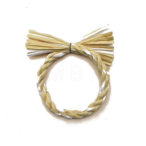 Raffia Paper Rope Pendant Decoration PW-WG445B1-04-1