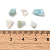 Natural Larimar Chip Beads G-Q193-01A-3