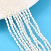 Natural Cultured Freshwater Pearl Beads Strands PEAR-F020-13-1