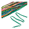 DICOSMETIC 30 Yards 15 Colors Polyester Wavy Fringe Trim Ribbon OCOR-DC0001-08-9
