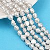 Natural Cultured Freshwater Pearl Beads Strands PEAR-P064-20K-03E-1