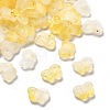 Gradient Color Transparent Acrylic Beads X1-OACR-M023-05B-1
