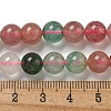 Natural Red and Green Strawberry Quartz Beads Strands G-B099-C03-04-5