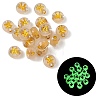 Luminous Transparent Acrylic Beads OACR-P037-01B-K-1