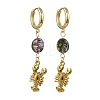 Ocean 304 Stainless Steel and Paua Shell Dangle Earrings EJEW-JE07109-3