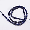 Natural Lapis Lazuli Beads Strands G-G736-22-4mm-2