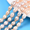 Natural Cultured Freshwater Pearl Beads Strands PEAR-N012-08L-1