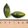 Fruit Series Opaque Resin Beads RE-CBAC4C7-11F-3