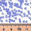 8/0 Round Glass Seed Beads SEED-US0003-3mm-166-3