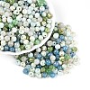 Picasso Baking Paint Glass Seed Beads SEED-N007-38A-04-1