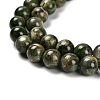 Natural Diopside Beads Strands G-R006-A01-02-4