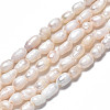 Natural Cultured Freshwater Pearl Beads Strands LS-PEAR-N012-03C-3