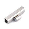 304 Stainless Steel Magnetic Clasps with Glue-in Ends STAS-F276-05P-3