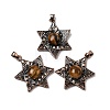 Natural Tiger Eye Pendants G-A297-06R-21-1