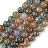 Natural Indian Agate Beads Strands X-G-G0003-C04-1