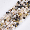 Black Lip Shell Beads Strands SHEL-S274-92C-1
