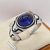 316L Surgical Stainless Steel and Synthetic Gemstone Finger Rings for Men FS-WG3E90C-09-1