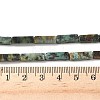 Natural African Turquoise(Jasper) Beads Strands G-G837-02-2
