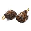 Natural Tiger Eye Carved Pendants G-H357-03G-08-2
