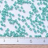 MIYUKI Delica Beads SEED-JP0008-DB0166-3