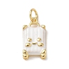 Brass Enamel Pendants KK-B155-18G-01-1