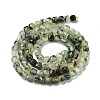 Natural Prehnite Beads Strands G-B088-E16-04-3
