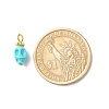 Dyed Synthetic Turquoise Charms PALLOY-JF01452-02-3
