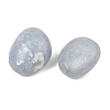 Natural Angelite Beads GG-CBAD0F6-B01-01-3