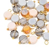 30Pcs Electroplate Glass Pendants PALLOY-YW00145-03-1