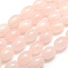 Oval Natural Rose Quartz Beads Strands G-P063-09-1