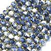 Natural Sodalite Beads Strands G-K389-E74-01A-1