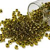 TOHO 6/0 Round Beads SEED-XTR06-0747-1