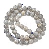Natural Labradorite Beads Strands G-L642-F07-8mm-3