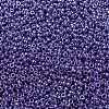 MIYUKI Round Rocailles Beads SEED-G008-RR0432-3