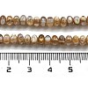 Natural Freshwater Shell Beads Strands BSHE-G038-05-5